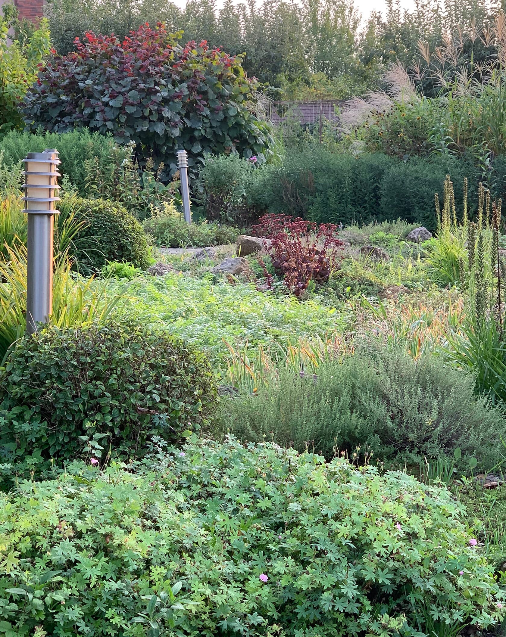 A Designer's Personal Garden