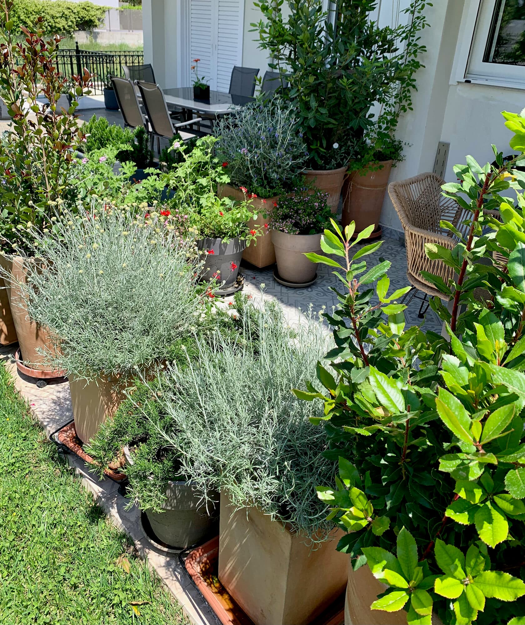 Container Garden for a Townhouse in Kifisia