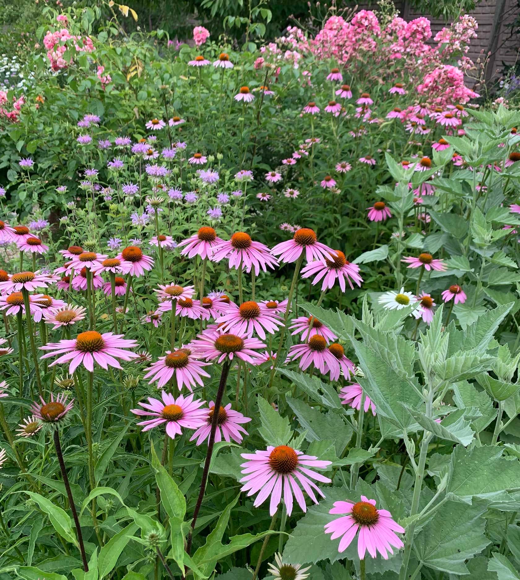 Sustainable Plantings