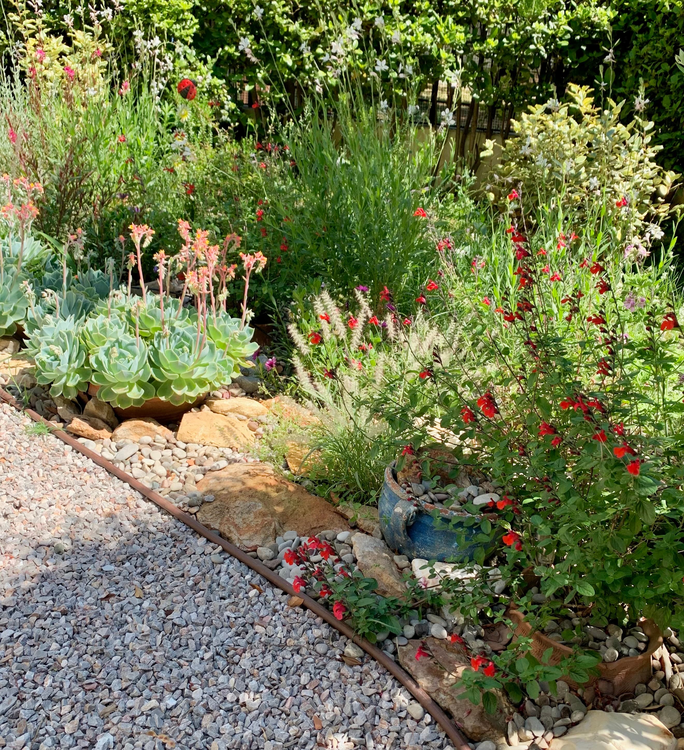 A Small Garden Without Borders in Marousi