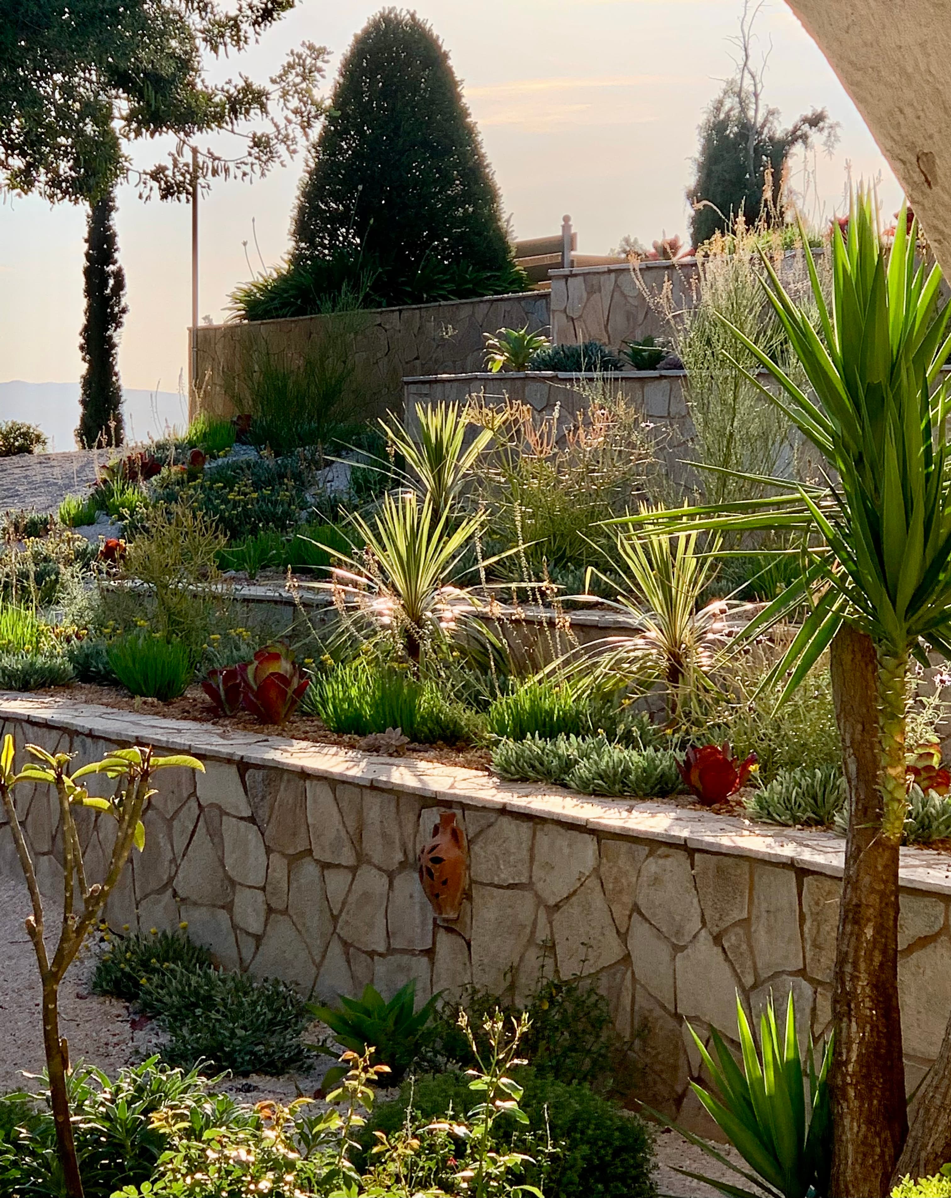 A Garden in an Olive Grove. Kalamata
