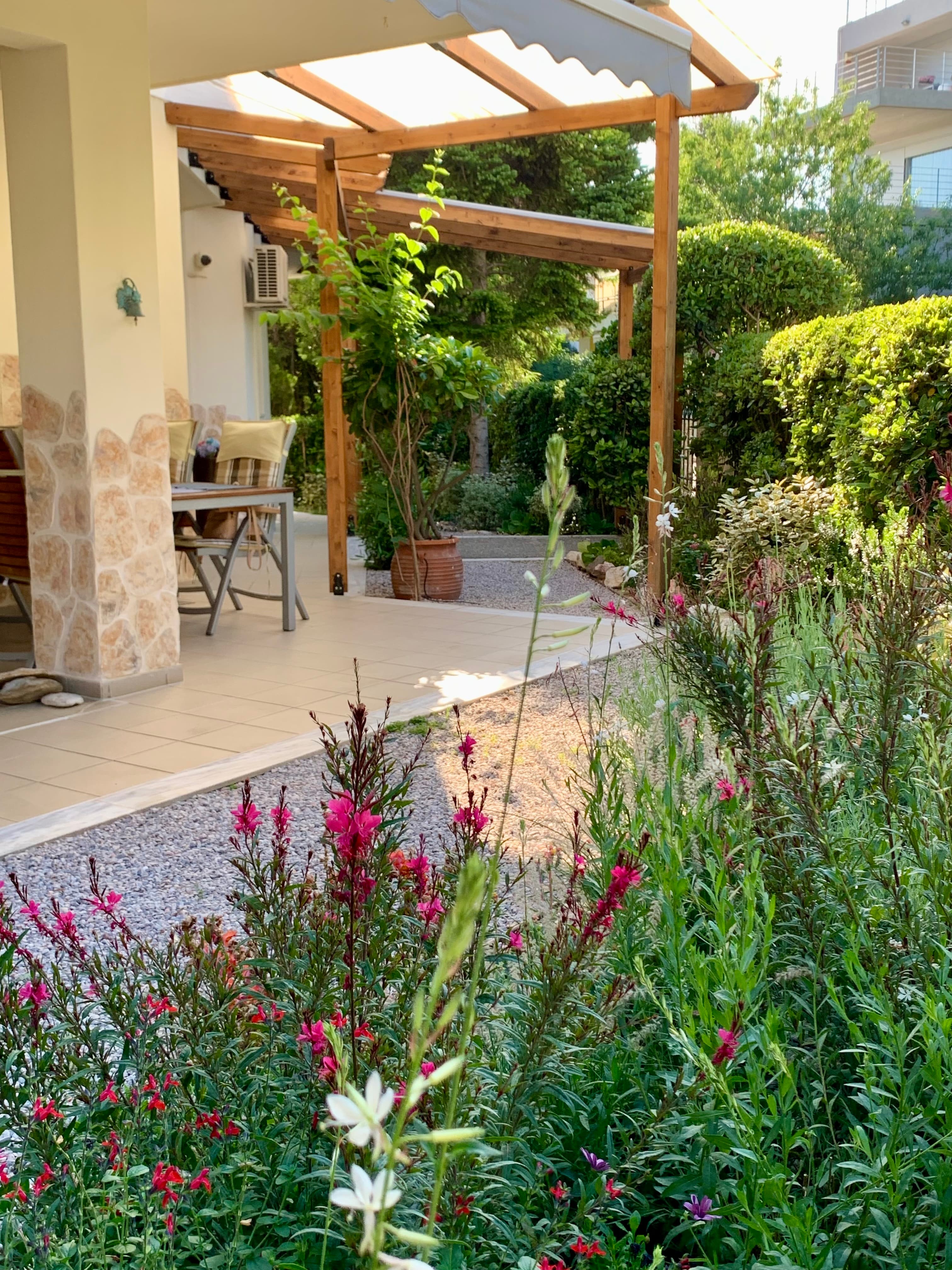 A Small Garden Without Borders in Marousi, 1.5 Years Later